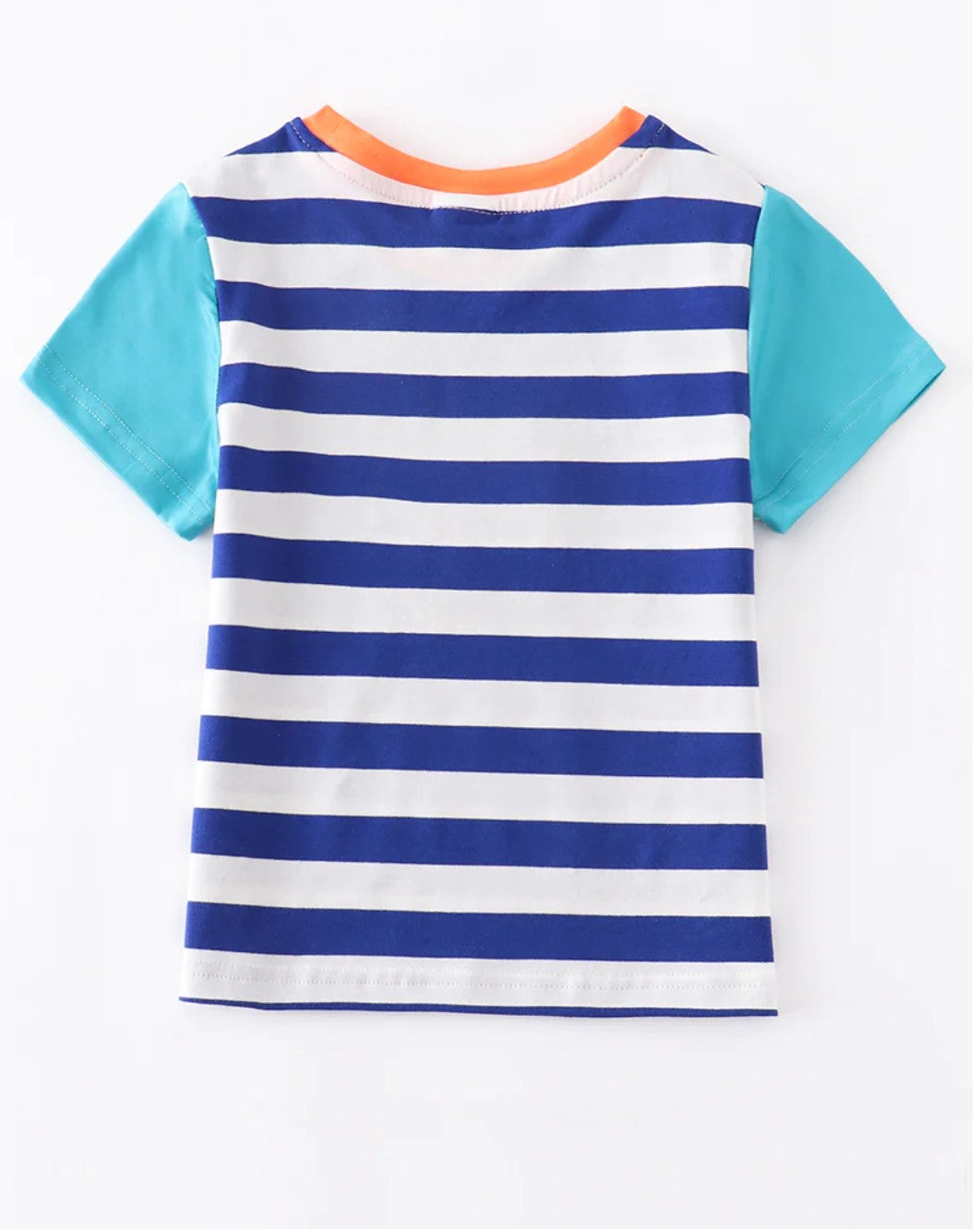 Striped Turtle Ragland Shirt